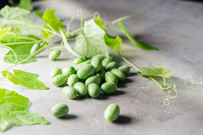 cucamelon (mouse melon) alongside leaves on a concrete platform