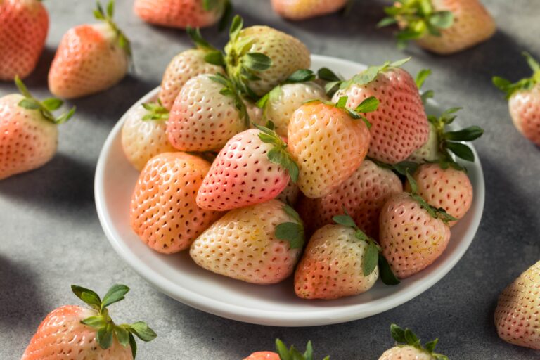a bowl of fresh pineberry