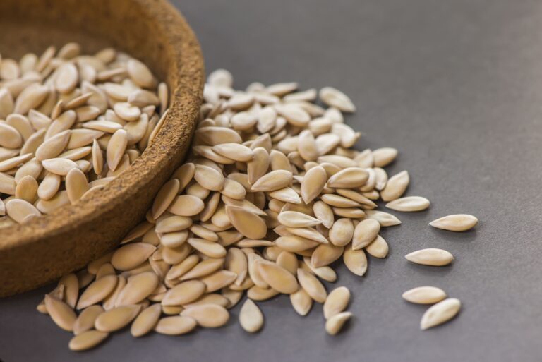 Cantaloupe Seeds