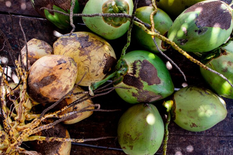 coconuts