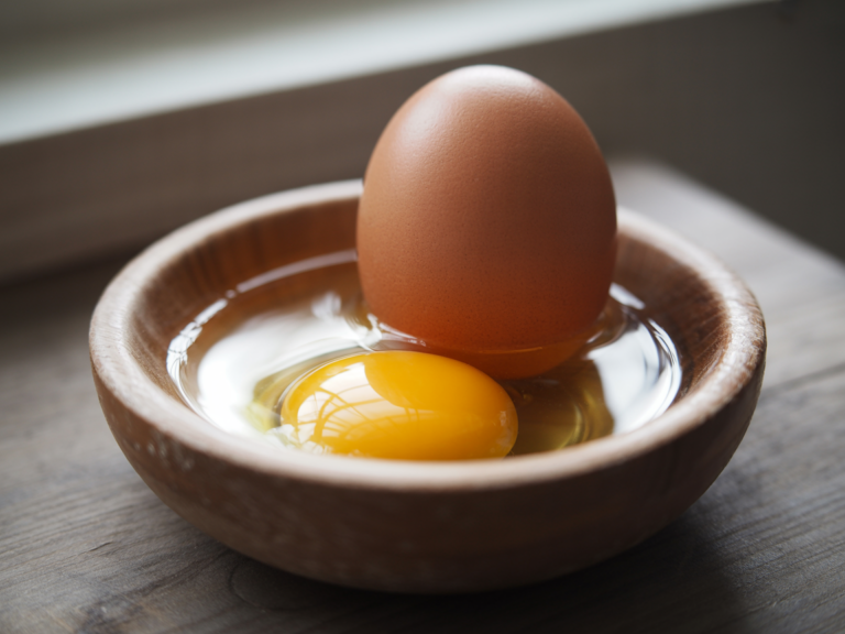 All about Egg