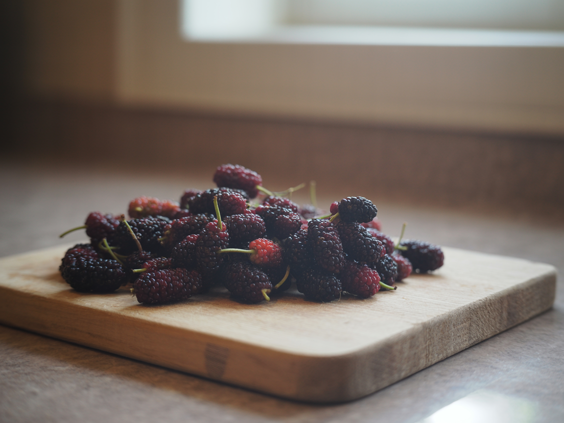 All about the Mulberry