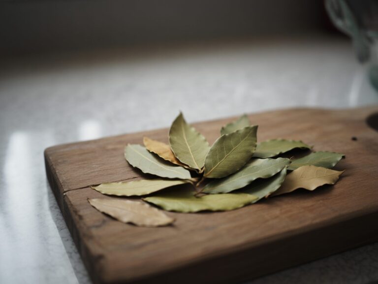All about Bay Leaves