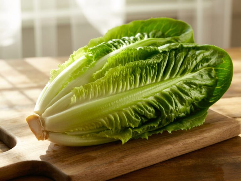 All about the Romaine Lettuce